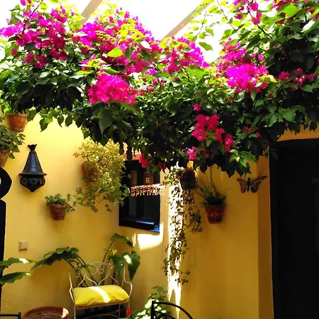 Baraka Boutique Guest house